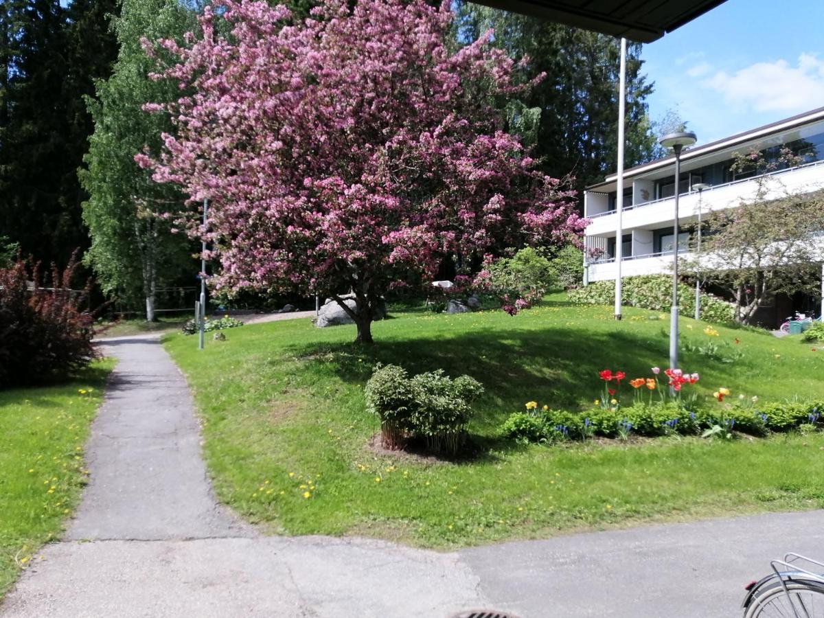 Laajavuoren Majapaikka — Condo In Laajavuori Ювяскюля Экстерьер фото